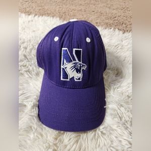 Northwestern wildcats mens hat